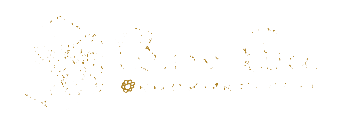 Busy Bee Bookeeping